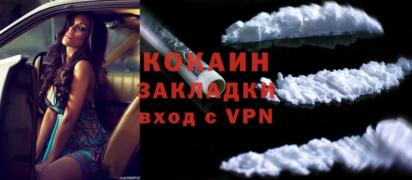 крисы Лагань