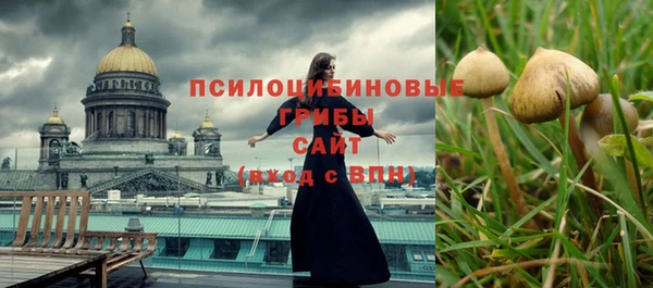 крисы Лагань
