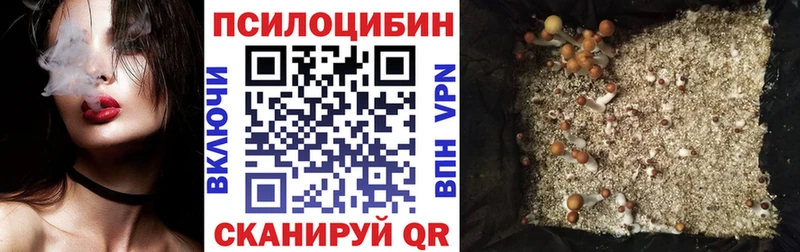 Псилоцибиновые грибы мицелий  Купить закладки  Тамбов 